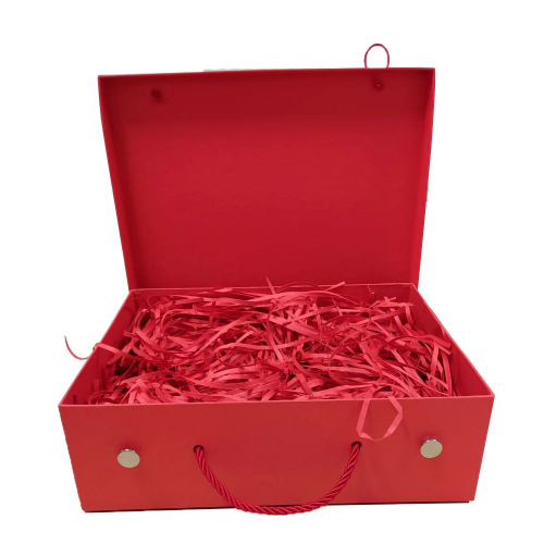 Maleta Vermelha-ID CT 3008