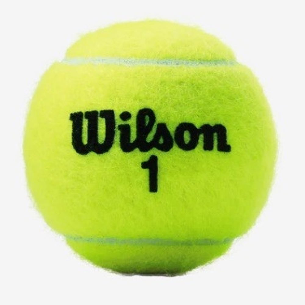 Bola de tenis Wilson-BLW01