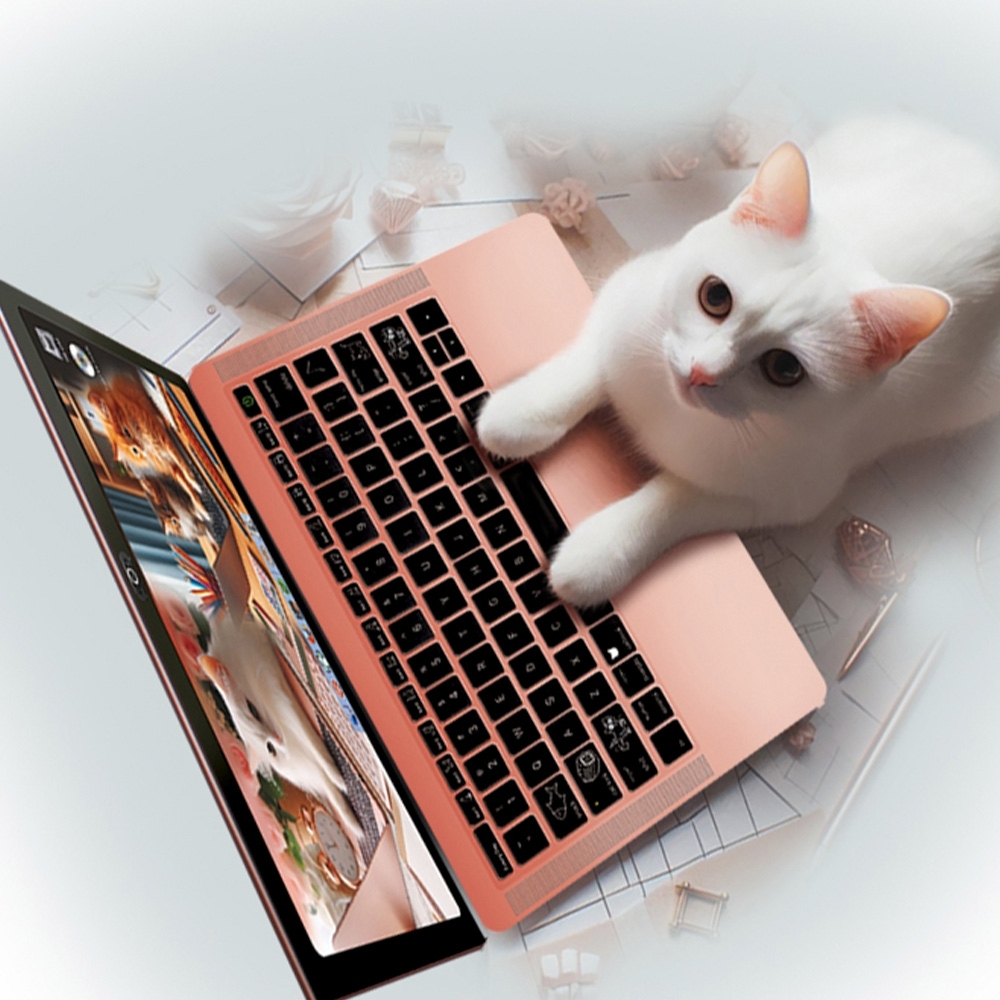 Cat Book Arranhador P/gatos Notebook Interativo C/ Guiz
